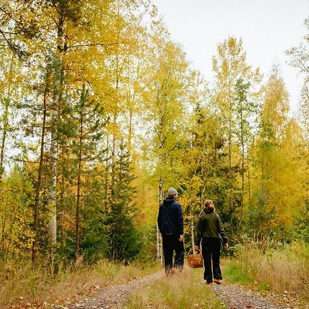 Loma-Autio Aamurusko Puumala Buitenkant foto
