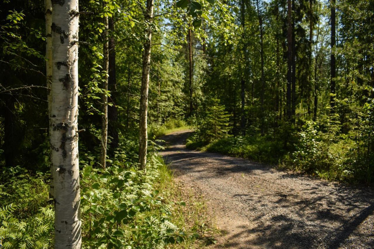 Loma-Autio Aamurusko Puumala Buitenkant foto